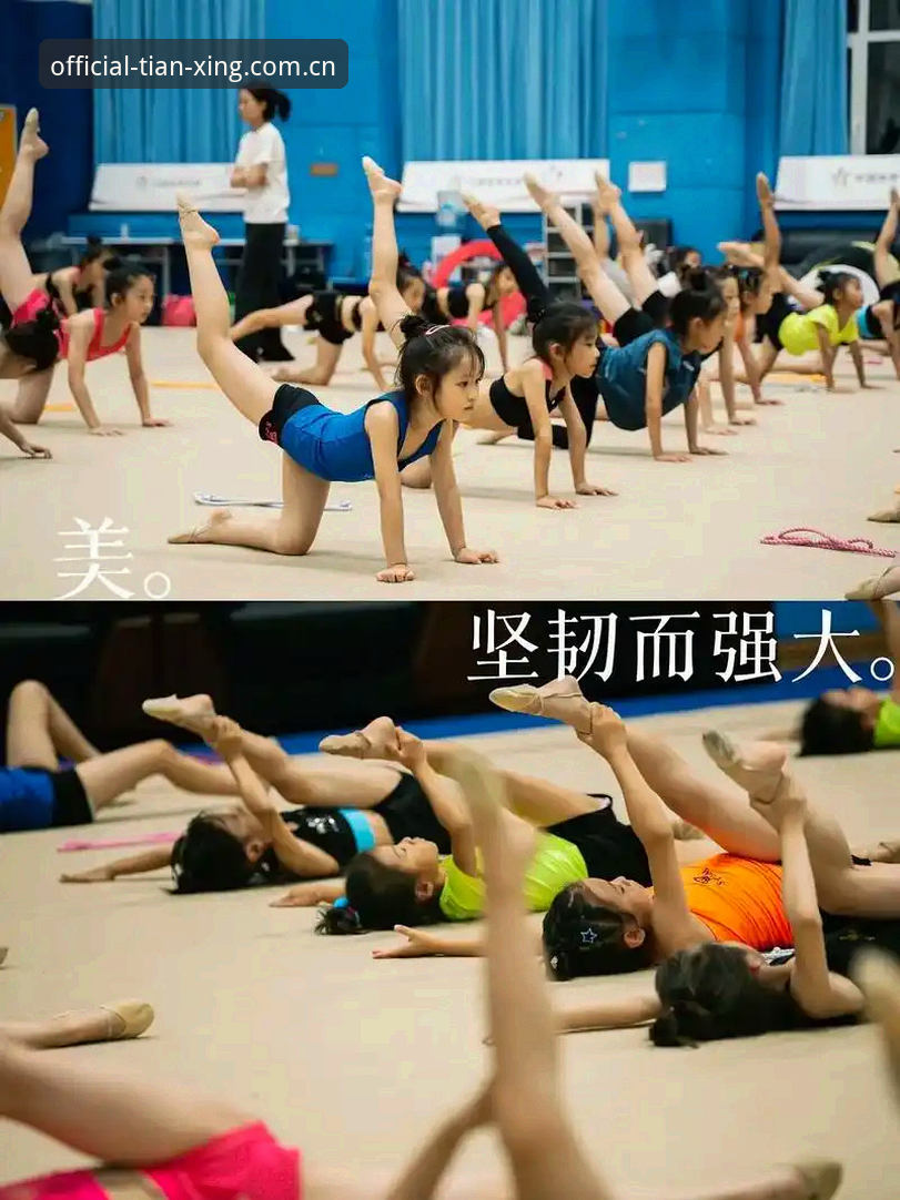 天行体育平台深度评测：下载链接、安全性与实际体验全解析