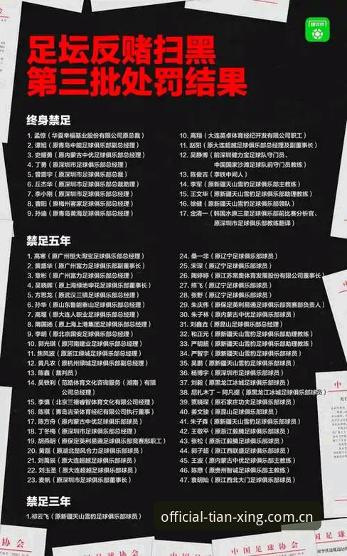 中国足协第三批禁足名单深度评测：反腐风暴下的足球生态与观赛体验